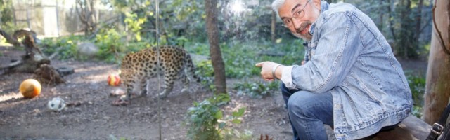 Turovski: kui arvad, et sa töötad nagu loom, siis eksid