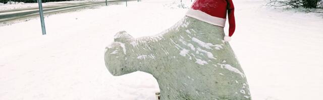 Paide linnapiirkonna talihoolde eest vastutab Järvamaa ettevõte