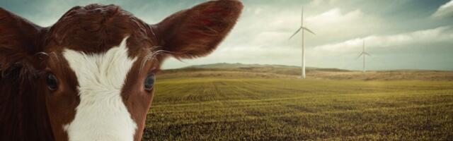 Parlament kiitis heaks 2040. aastaks seatud kliimasihi