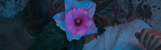 PÖFF-i ARVUSTUS I „Tõmbsooned“. Kehaõuduse, (perekonna)draama ja musta huumori sümbioos