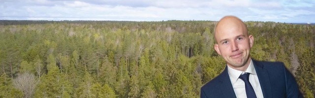 Reporter: Keskkonnaminister taaselustab metsanduse arengukava