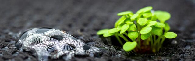 Tartus arutletakse teaduse keskkonnamõju ja selle vähendamisvõimaluste üle