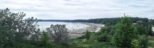 Vallavalitsuse sisetehing OÜ-ga Viimsi Haldus Haabneeme rannaala planeeringuks