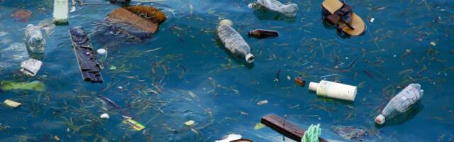 Fakt teadust päevas: kas parasiidid levivad mereprügiga?