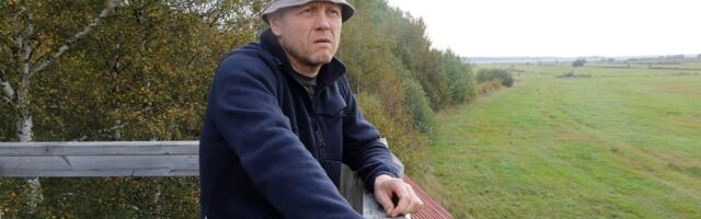 Läänemaa jahimeestel tuleb katku ennetamiseks küttida ligi 600 metssiga