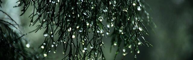 Täna on kõrge jäävihma võimalus