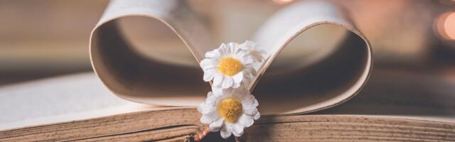 Tartu linna eestvedamisel hakatakse koostama mahukat koguteost linna ajaloost