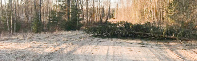 Lõuna-Eesti päästjad likvideerisid tormikahjusid