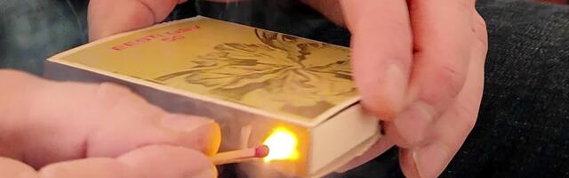 MAALEHE TEST | Millised tikud on kõige paremad?