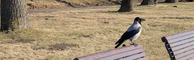 Прогноз погоды на воскресенье: сухо, бодряще, но не очень тепло