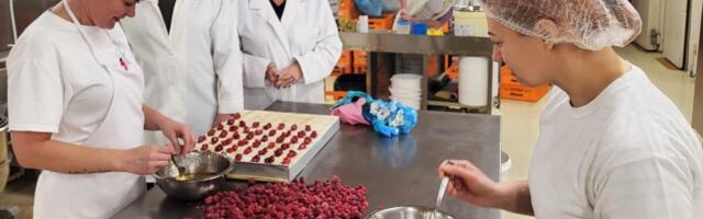 Pagaritööstuse Pihlaka ärikasum kukkus kordades