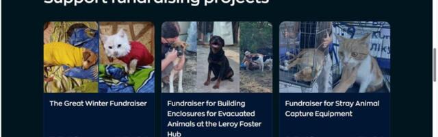 Imelihtne intersektsionaalsus