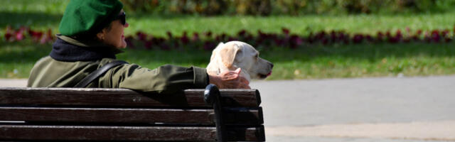&quot;ZLATNA JESEN&quot; NAREDNIH DANA U SRBIJI Temperatura do 24 stepena, a evo kada se očekuje kiša