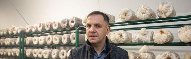 TAUST ⟩ Kuidas poliitik kõik seenele saatis