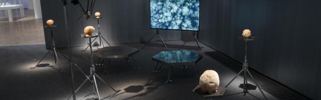 Pisarad kaotatud kujutlusvõime ajastul