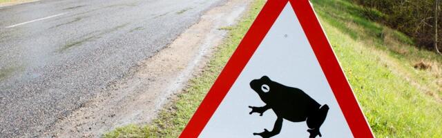 Kevadilm pani kahepaiksed rändama