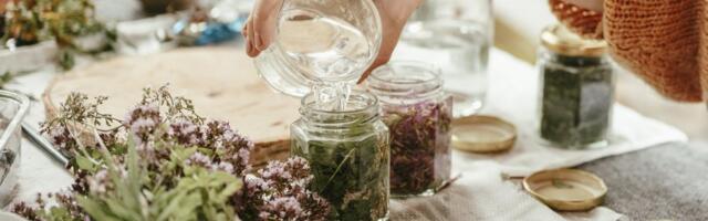 Taimetarkus: kevadine looduse apteek tassikeses