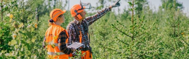 PEFC on valmis saanud uue metsamajandamise standardi