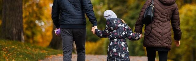 Euroopa palgalõhe püsib: ida ja lääne leibkondade sissetulekute vahe ulatub üle 40 000 euro