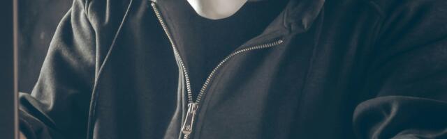 Ettevaatust – ostuhooajal kasvab netipettuste arv!