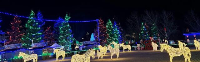 Eesti ettevõte müüs hobuseaastaks üle 100 valgushobuse Kanada uhkesse keskusesse