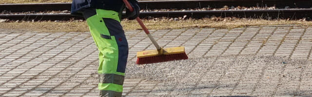 Haapsalu sõelmeid koristama ei kiirusta