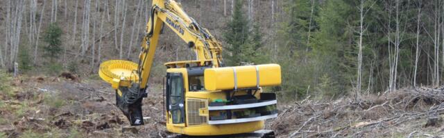 Michal: riigimetsa raiemaht väheneb sujuvalt