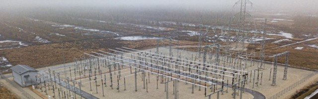 Haruldane toonekurg ohustab Eesti Energia Tootsi hiigelprojekti