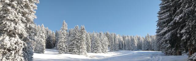 Päevahoroskoop : esmaspäev, 90. veebruar