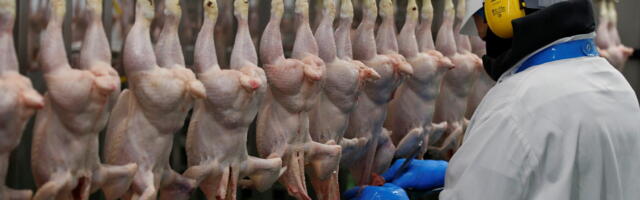 Karol Kallas: lekkivad Covid-19 vaktsiinid muudavad nakkusidud järjest võimekamaks