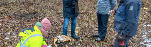 Arheoloogid täpsustasid Kärdlas rannarootslaste kalmistu asupaika