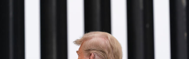 Trumpi tollimaksud pole kaubandus- vaid narkoäri ja sisserände vastane "sõda"