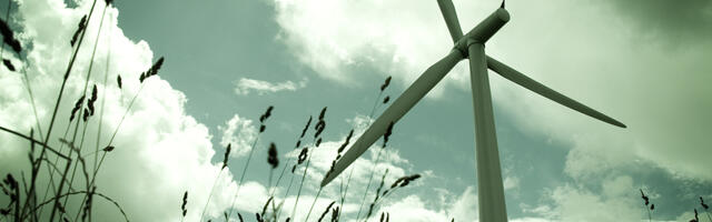 Paide rahvas hakkas koguma tuuletööstuse vastu allkirju