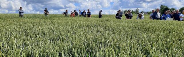 Maaelu Teadmuskeskus alustab ideekorjet 2026. aasta teadmussiirde tegevusteks