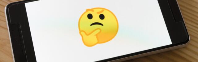 Lunavararünnakus krüpteeriti Eesti firma failiserver koos andmebaasi ning varukoopiaga