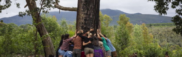 Varem Poolas düsenteeriapuhangu esile kutsunud hipiliikumine korraldab kuuajase laagri Lõuna-Eestis