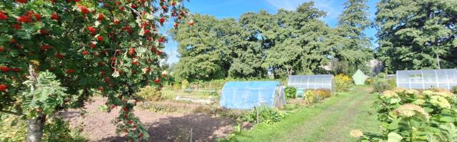 KOMMENTAARIDETA: Kannikese tee kogukonnaaed 28. augustil 2024