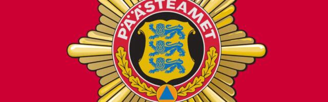 Valgeväljal sõitis auto otsa teele murdunud puule