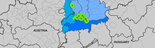 Šokeeriv statistika: 14 000 hukatud veist. Kas suu- ja sõrataud jõuab ka Eestisse?
