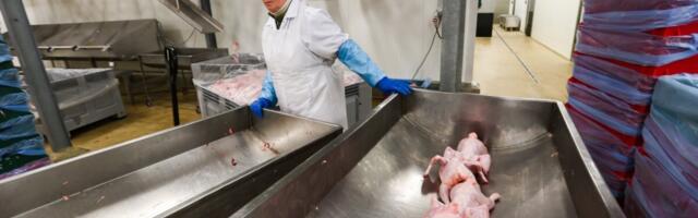 Toidukaupade hinnad kerkisid aastaga 6,3%: enim kallinesid kohv ja linnuliha