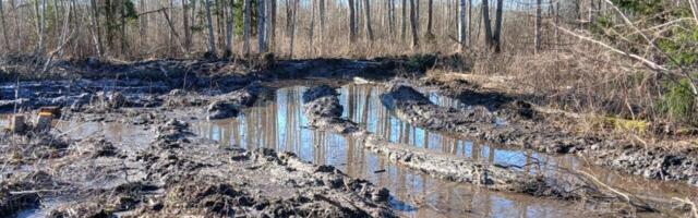 Eesti ajakirjandusmaastik on rikutud