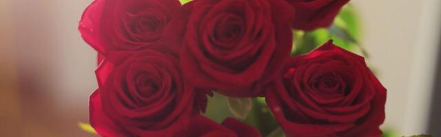 Reporter: Naistepäev on lillemüüjate pidupäev