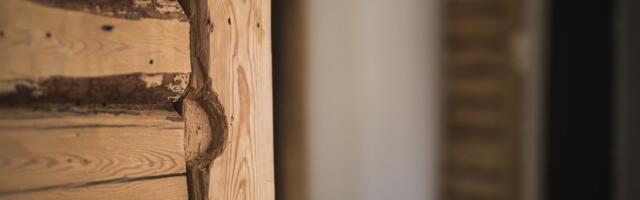 Euroopa on mures metsanduse tuleviku pärast, Eesti valitsus on rahulolev