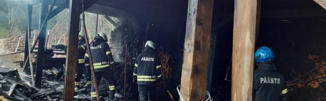 Lõuna-Eesti päästjad said väljakutsed Viljandist, Valga- ja Tartumaalt