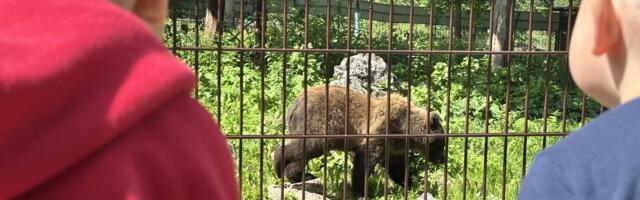 Küsimus, mis eestlastele asu ei anna. Miks riigipiirist lõuna pool tundub odavam puhata kui Eestis?