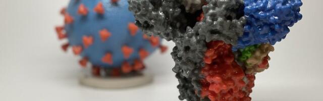 Inglismaa ja Iisrael keelasid uue koroonaviiruse variandi pärast lennud kuuest Lõuna-Aafrika riigist