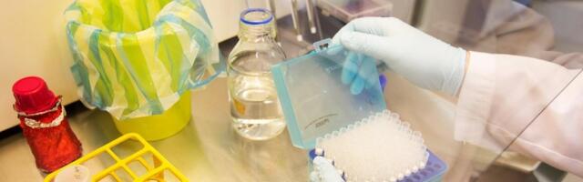 Eesti osalusel valminud teadustöö paljastab: kellelt pärisime kõrge kolesteroolitaseme, laiad puusad ja pika kasvu