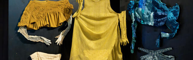 GALERII: Toimus tegevusterohke ja meeleolukas kunstifestival “Ma ei saa aru”