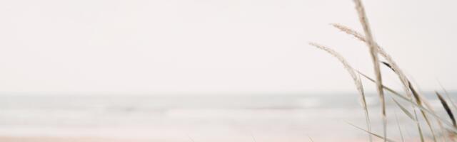 Hiina horoskoop : 10. augusti päevahoroskoop igale loomamärgile