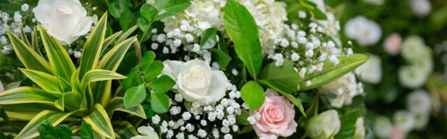 Harjumaa selle aasta säravamad tähed on selgunud